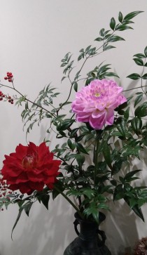 DSC_1217~2.JPG